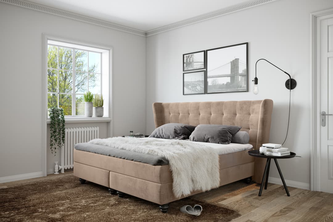 Boxspringbett Salcedo | Beige