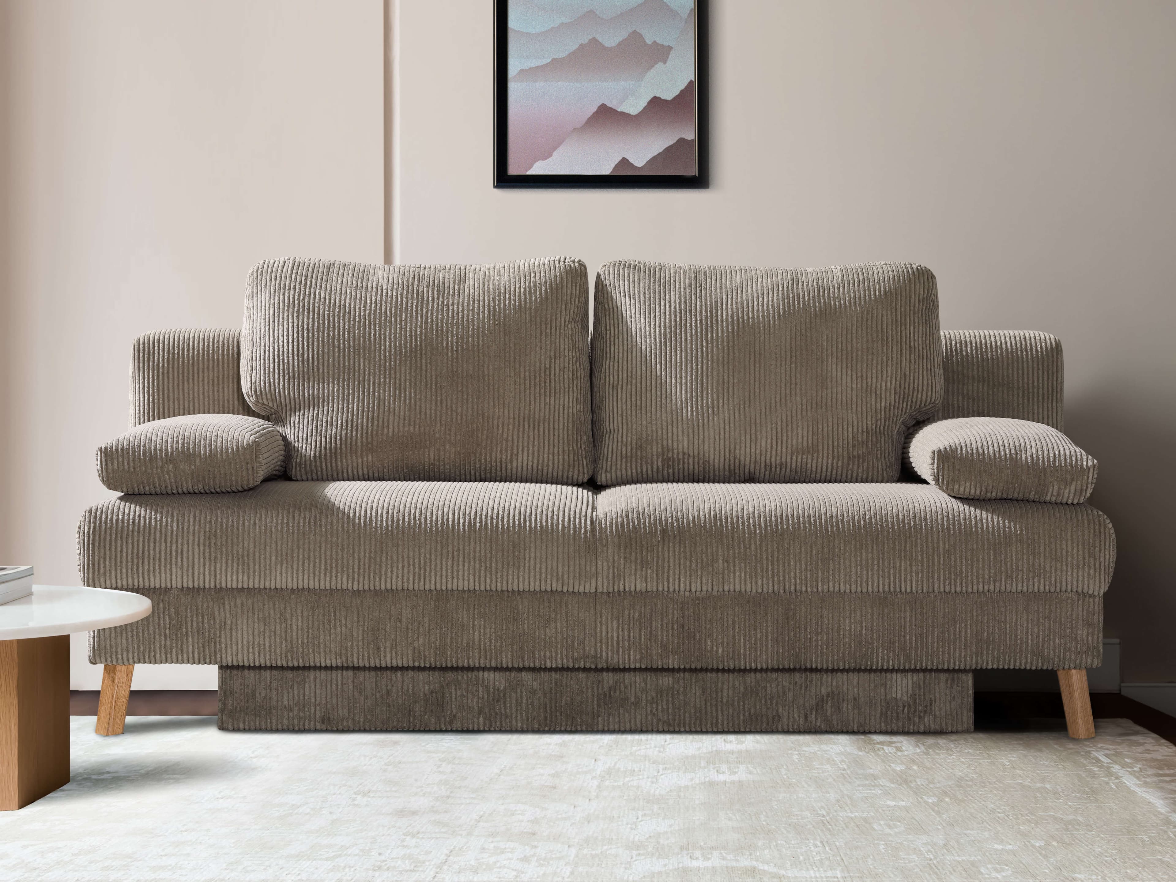 Schlafsofa Radiz II | Braun