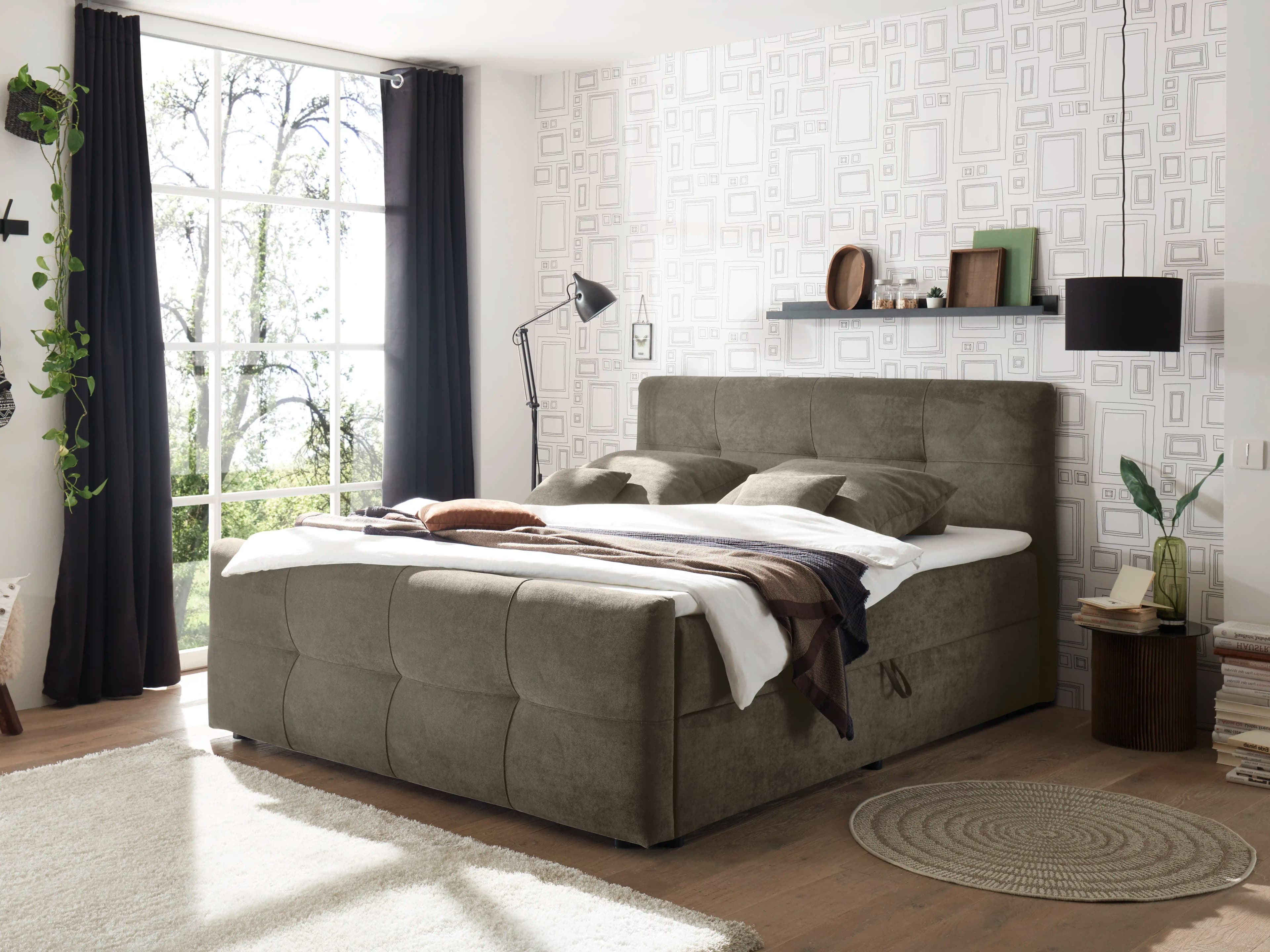 Boxbett Belucha | Grau