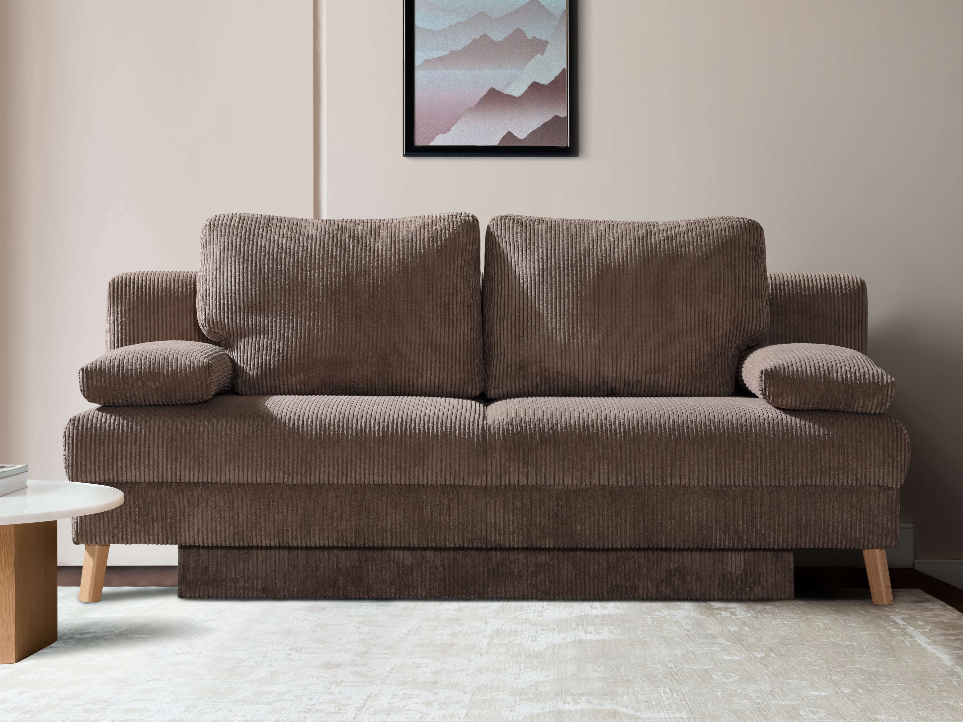 Schlafsofa Radiz II | Braun