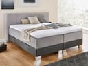 Boxspringbett Scharek | Grau