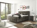 Boxspringbett Büren | Braun