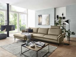 Ecksofa Haeta III | Braun