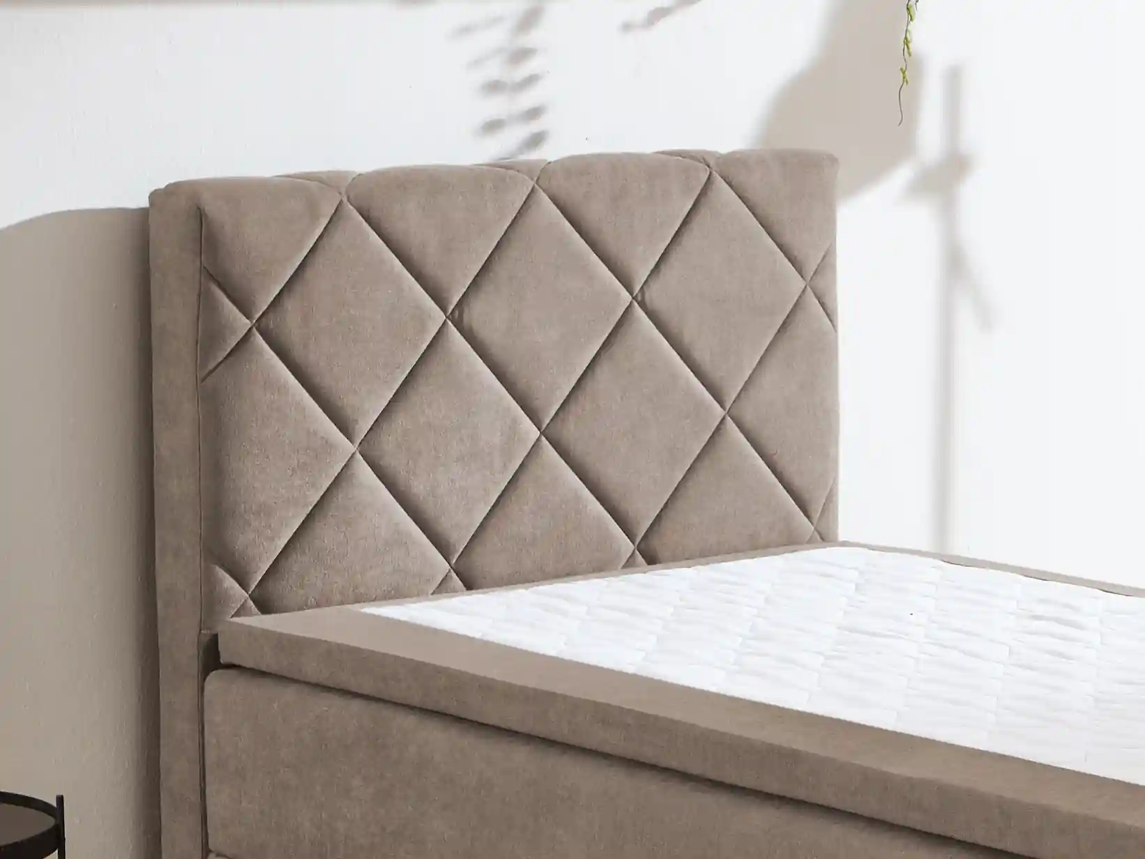 Boxbett Senega | Mehrfarbig