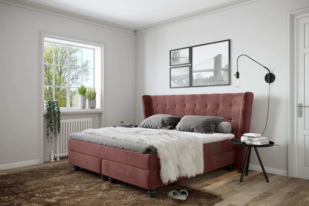Boxspringbett Salcedo | Mehrfarbig