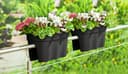 KHW Balkonkasten Flowerclip XXL | Schwarz