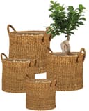 Scheurich Blumentopf nut 33/516 | Braun 4