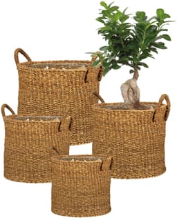 Scheurich Blumentopf nut 33/516 | Braun