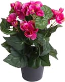 Kunstblume Begonienbusch | Rosa