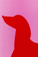 Kare Design Gerahmtes Bild Dog Frankie (2/Set) | Mehrfarbig 4