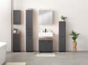 welltime Spiegelschrank Trento | Grau 3