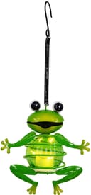 Näve LED Solarleuchte "FROSCH" | Grün 4