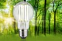 Paulmann LED-Leuchtmittel Eco-Line Filament | Transparent 2