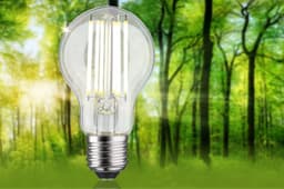Paulmann LED-Leuchtmittel Eco-Line Filament | Transparent