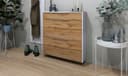 borchardt Möbel Schuhschrank Oliva | Holztöne 2