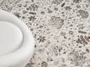 the carpet Teppich Mila | Beige 4