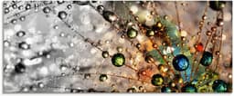 Artland Glasbild Farbenfrohe Natur, Blumen | Mehrfarbig