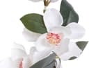 Kunstblume Magnolie im Glas | Weiß 2
