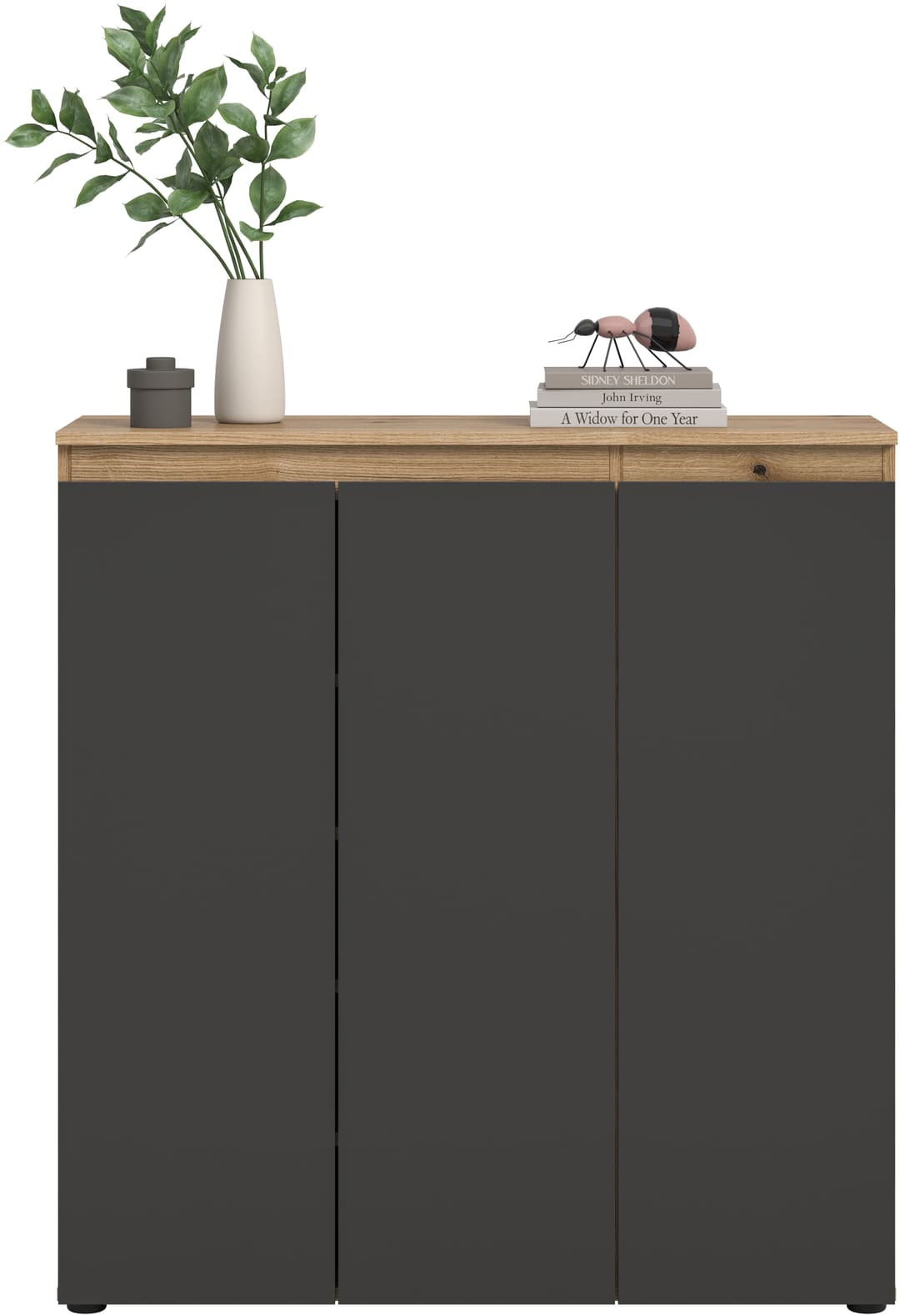 Home affaire Mehrzweckschrank CIPELA | Mehrfarbig