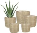 Scheurich Blumentopf white 17/513 | Beige 4