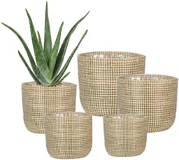 Scheurich Blumentopf white 17/513 | Beige