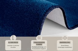 HANSE Home Teppich Shashi | Blau