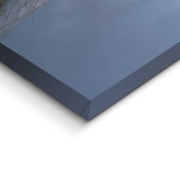 Reinders! Deco-Panel Sonnenuntergang in den Dünen | Beige