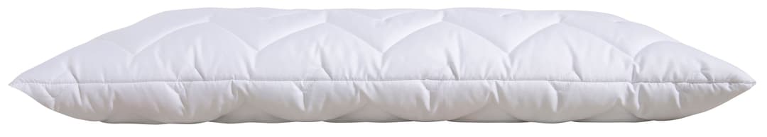 OTTO home Microfaserkissen Sartes Kopfkissen | Weiß