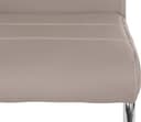 HELA Freischwinger Flora | Beige 2