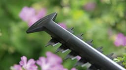 Bosch Home & Garden Elektro-Heckenschere EasyHedgeCut55 | Grün