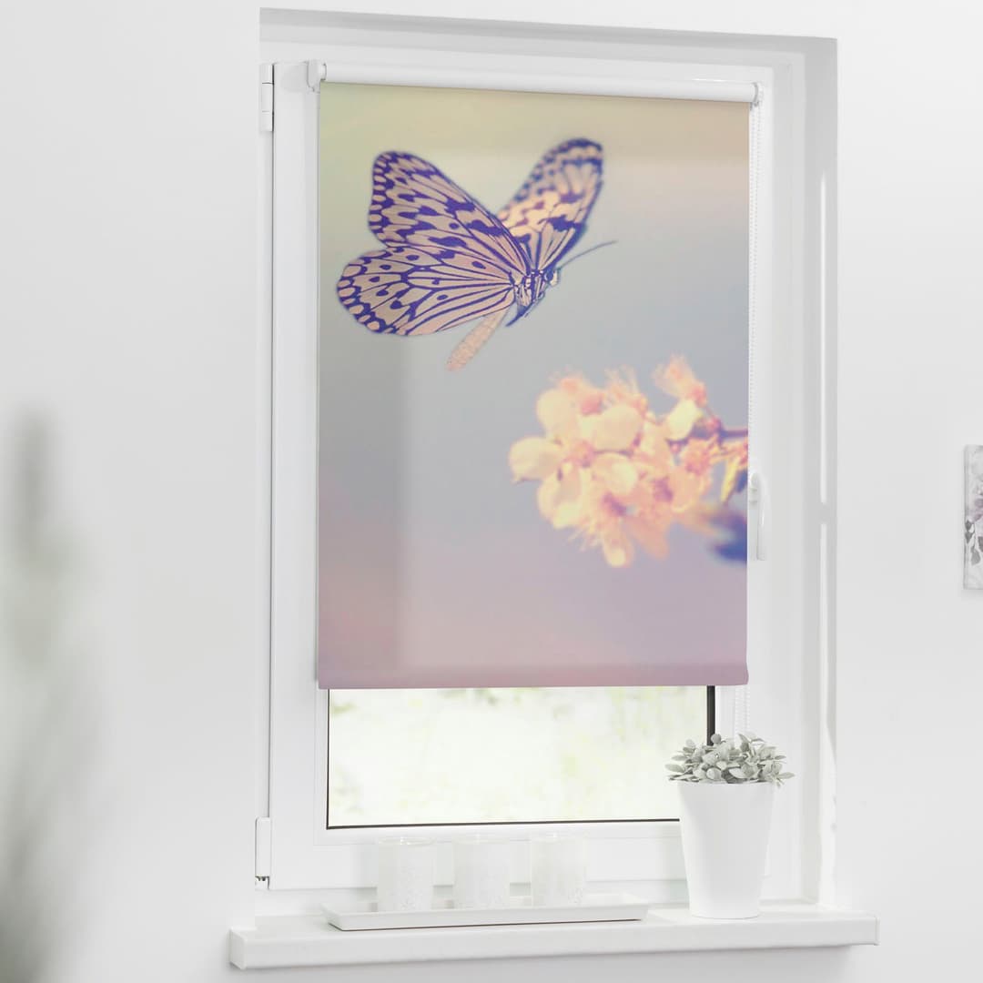 Seitenzugrollo Klemmfix Motiv Schmetterling | Rosa