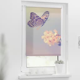 Seitenzugrollo Klemmfix Motiv Schmetterling | Rosa