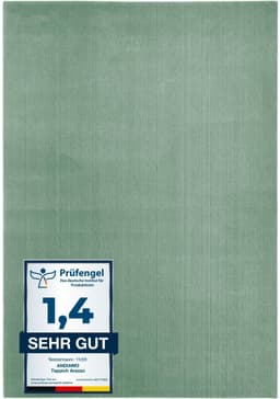 Andiamo Teppich Arezzo | Grün