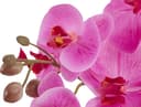 Kunstpflanze Orchidee | Mehrfarbig 3