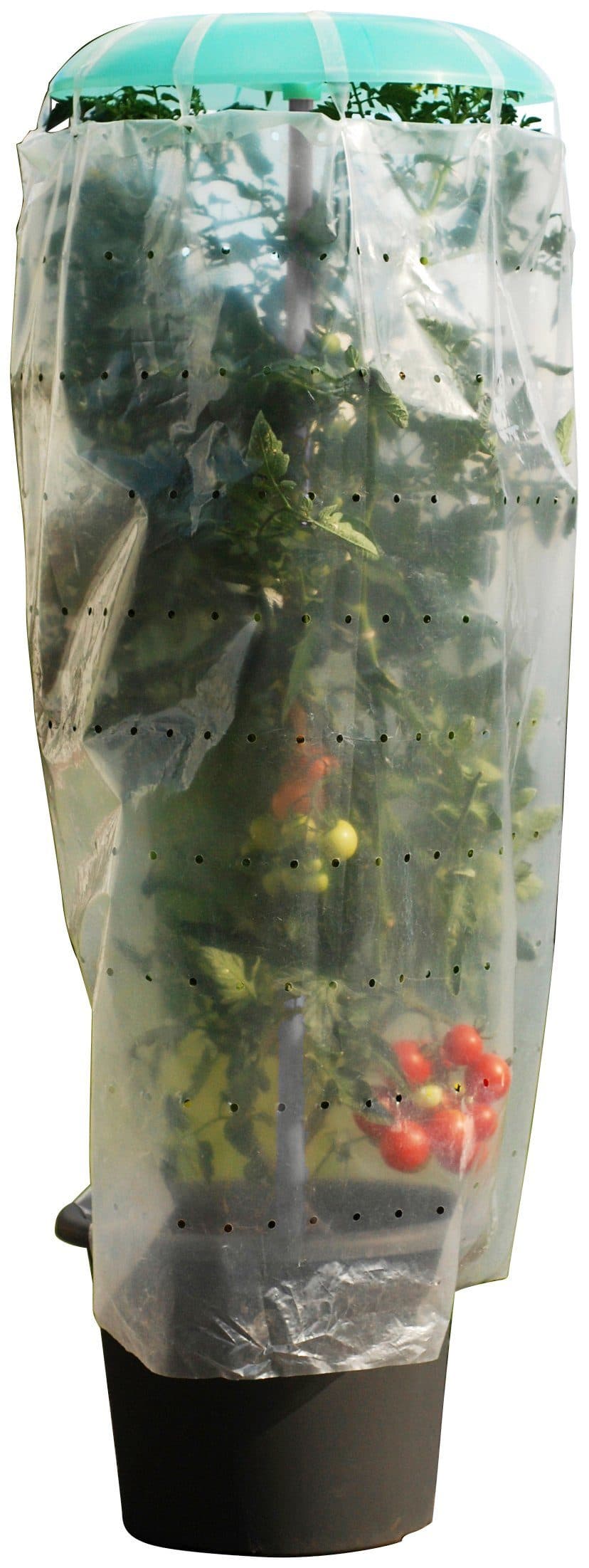 KHW Pflanzenschutzdach Tomatenhut | Grün