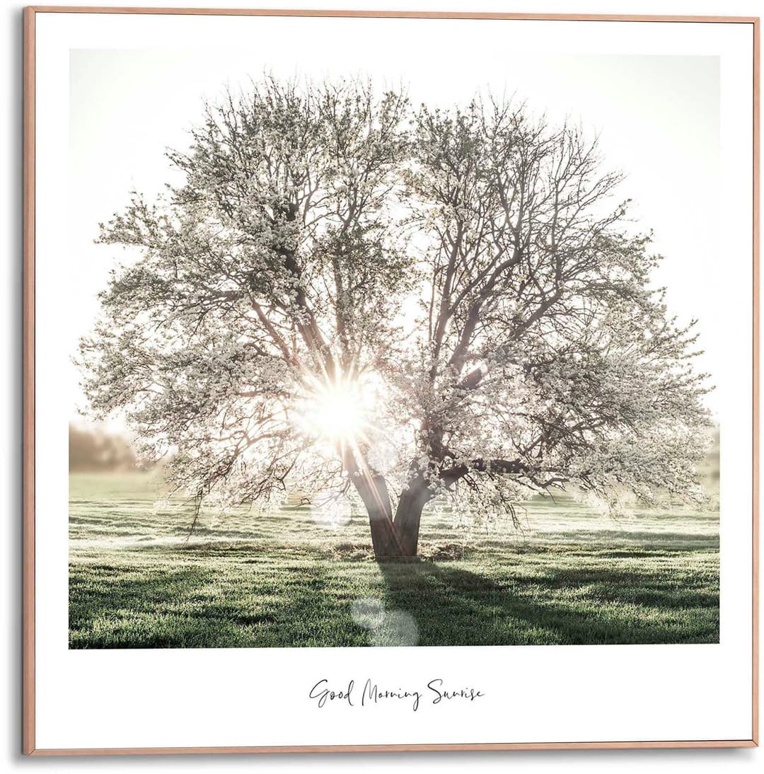 Reinders! Poster Morgensonne | Mehrfarbig