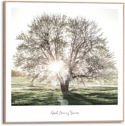Reinders! Poster Morgensonne | Mehrfarbig