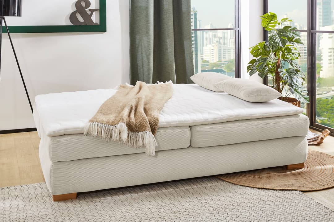 Jockenhöfer Gruppe Schlafsofa Derby | Beige