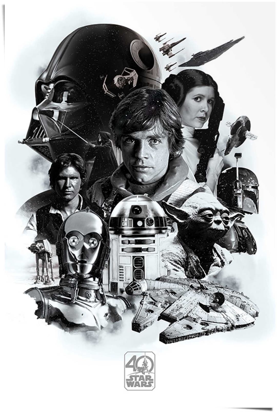 Reinders! Poster Star Wars 40 Jahre | Mehrfarbig