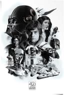 Reinders! Poster Star Wars 40 Jahre | Mehrfarbig