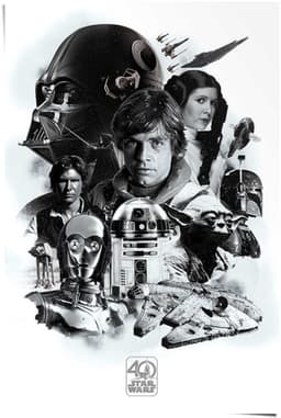 Reinders! Poster Star Wars 40 Jahre | Mehrfarbig