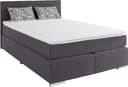 COTTA Boxspringbett Simba | Grau
