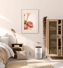 BOSCH Luftreiniger Air 4000i | Weiß 3