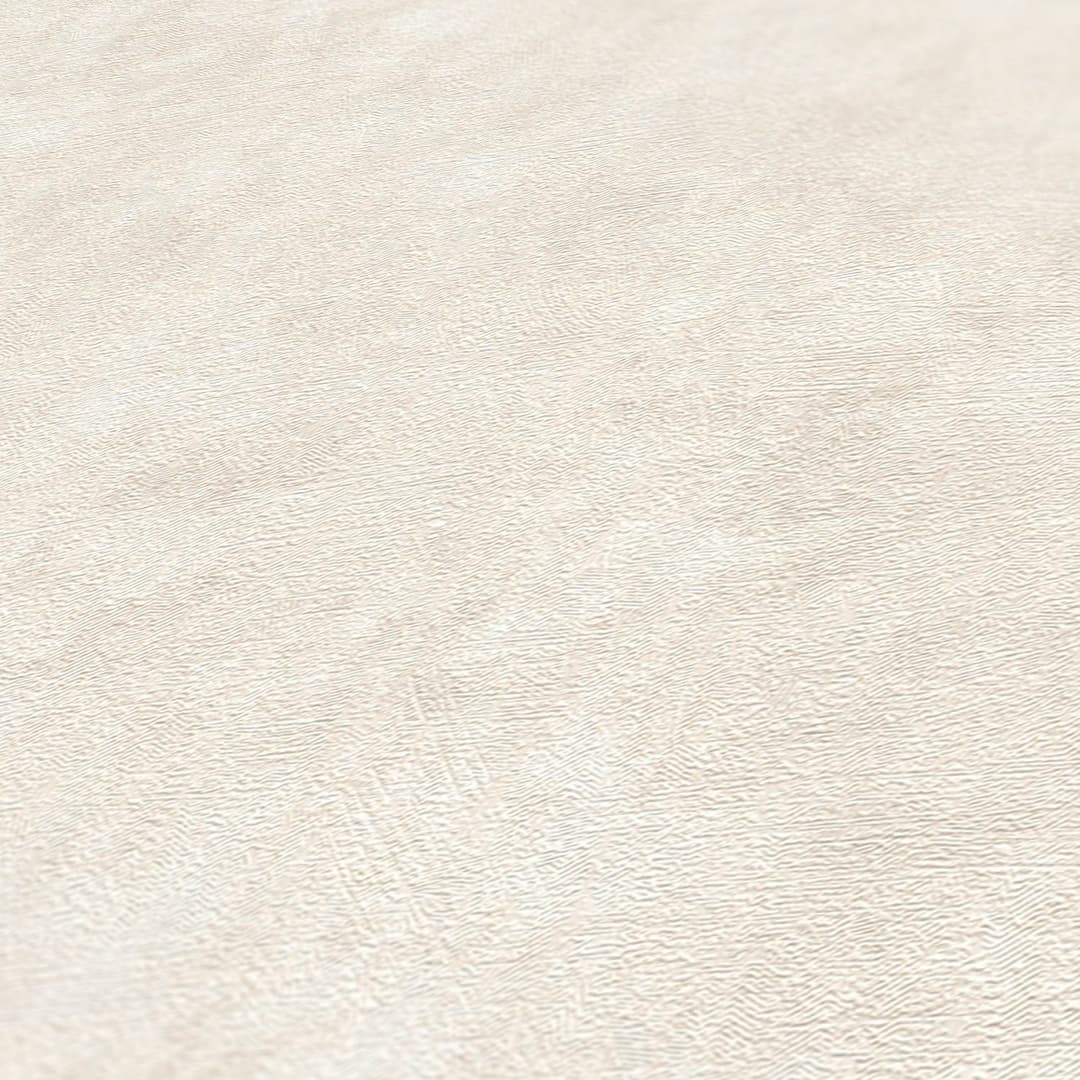 A.S. Création Terra Vliestapete | Beige