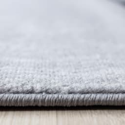 Ayyildiz Teppiche Teppich Plus 8007 | Grau