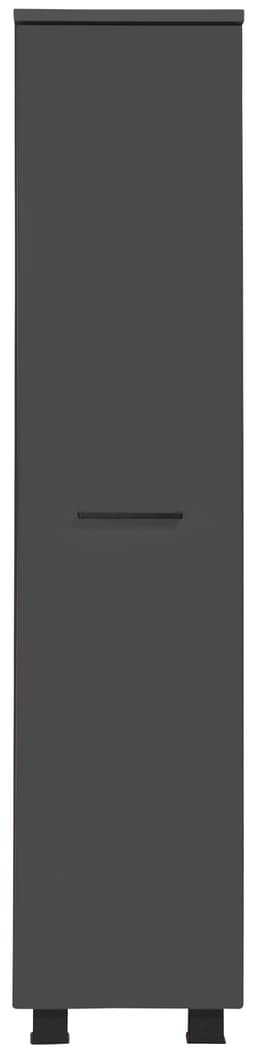 welltime Midischrank Trento | Grau