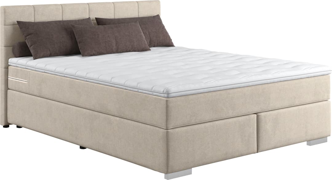 COTTA Boxspringbett Simba | Beige