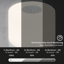 Briloner Leuchten SMAL Tischleuchte | Silber