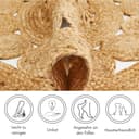 LUXOR living Teppich Balo | Beige 3