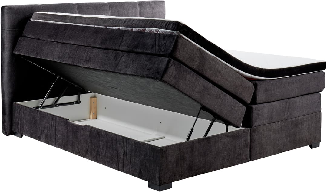ED EXCITING DESIGN Boxspringbett Fanes | Braun